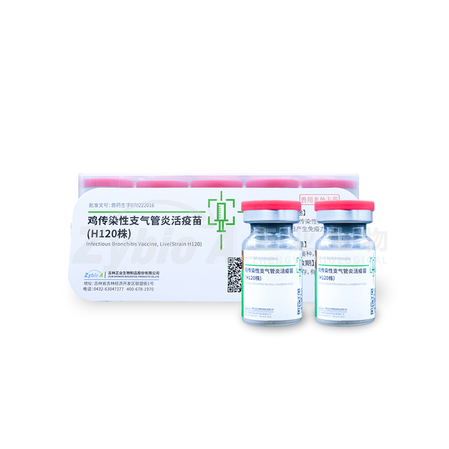 Infectious Bronchitis Vaccine, Live (Strain H120)