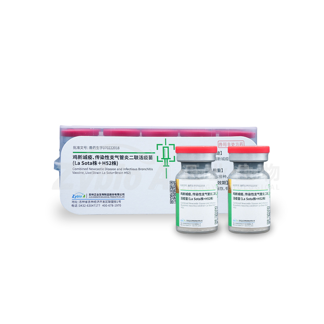 Combined Newcastle Disease and Infectious Bronchitis Vaccine, Live (Strain La Sota + Strain H52)