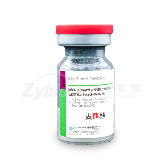 Combined Newcastle Disease and Infectious Bronchitis Thermo-stable Vaccine, Live (Strain La Sota+Strain SZ160)