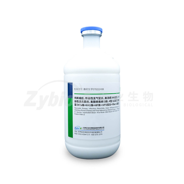 Newcastle Disease, Infectious Bronchitis, Avian Influenza (Subtype H9),Infectious Bursal Disease and Fowl Adenovirus Disease (Group I, Serotype 4) Vaccine,Inactivated(StrainN7a+StrainM41+StrainHF+Prot