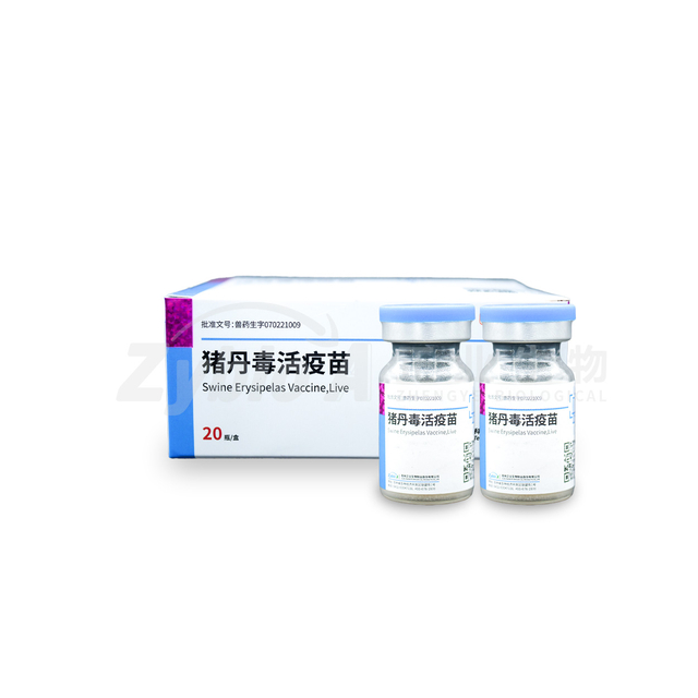 Swine Erysipelas Vaccine, Live