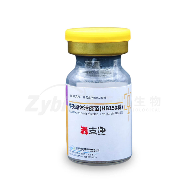 Mycoplasma bovis Vaccine,Live (Strain HB150)