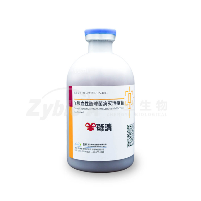 Ovine/Caprine Streptococcal Septicemia Vaccine, Inactivated