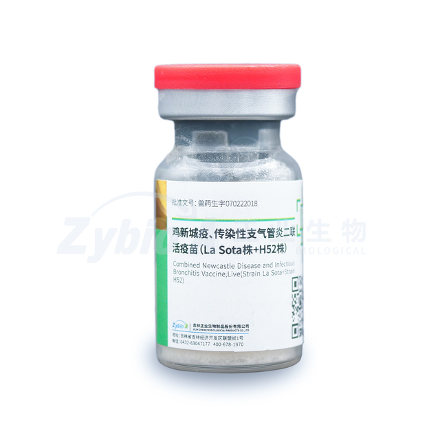 Combined Newcastle Disease and Infectious Bronchitis Vaccine, Live (Strain La Sota + Strain H52)