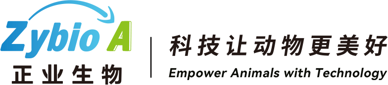 ZYBT - logo