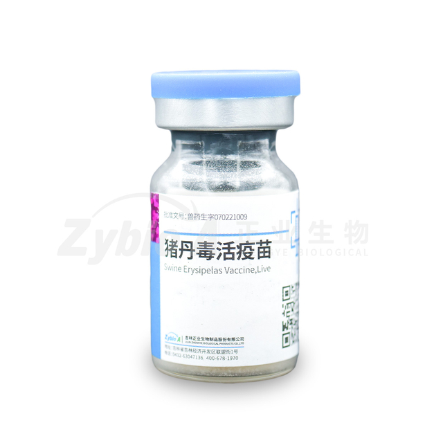 Swine Erysipelas Vaccine, Live