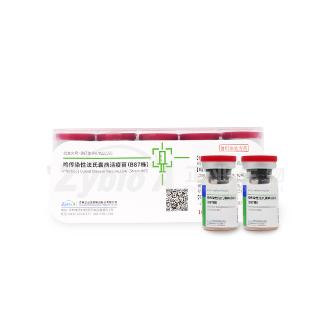 Infectious Bursal Disease Vaccine, Live (Strain B87)
