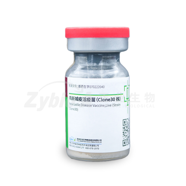 Newcastle Disease Vaccine, Live (Strain Clone 30)