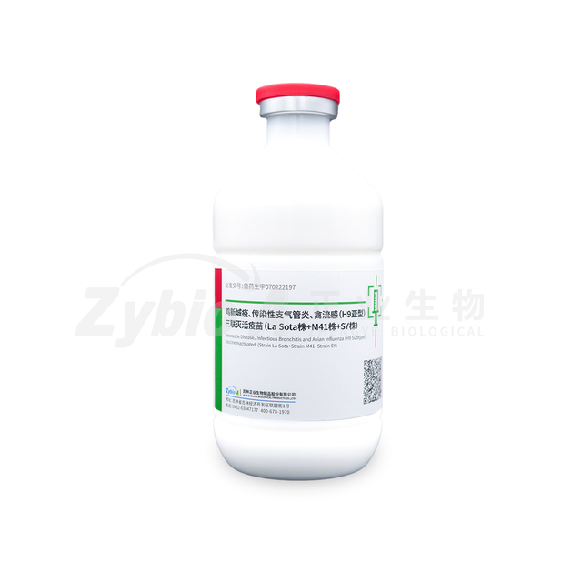 Newcastle Disease, Infectious Bronchitis and Avian Influenza (H9 Subtype) Vaccine, Inactivated (Strain La Sota + Strain M41 + Strain SY)