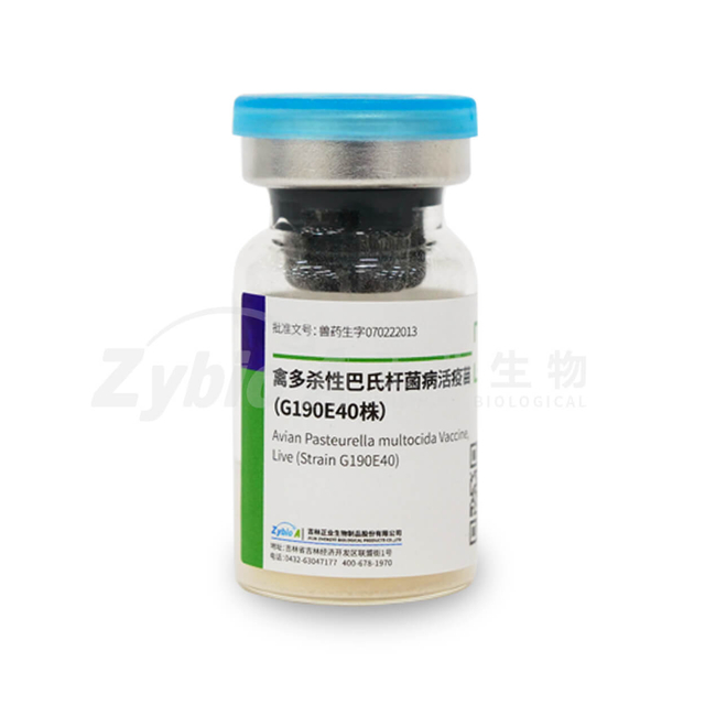 Avian Pasteurella multocida Vaccine, Live(StrainG190E40)