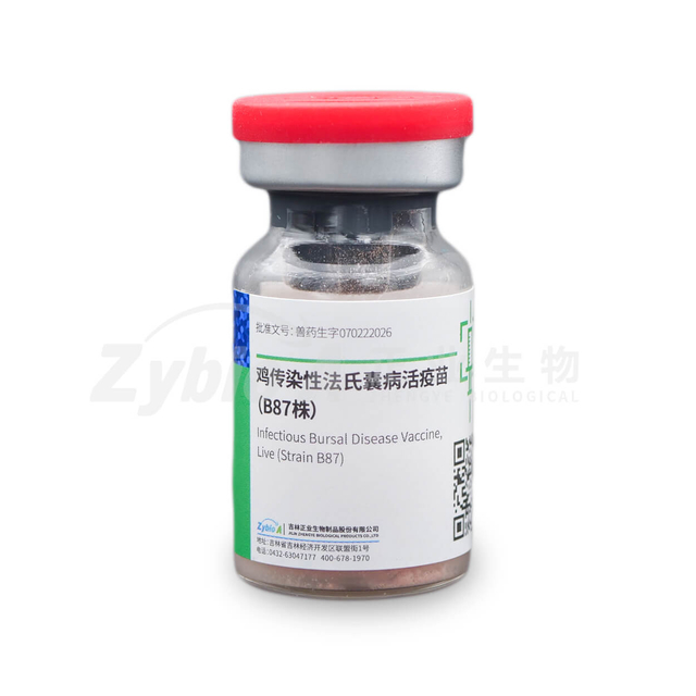 Infectious Bursal Disease Vaccine, Live (Strain B87)