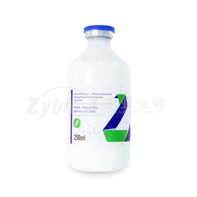 Newcastle Disease, Infectious Bronchitis and Egg Drop Syndrome Vaccine, Inactivated (Strain Clone30 + Strain M41 + Strain AV127)
