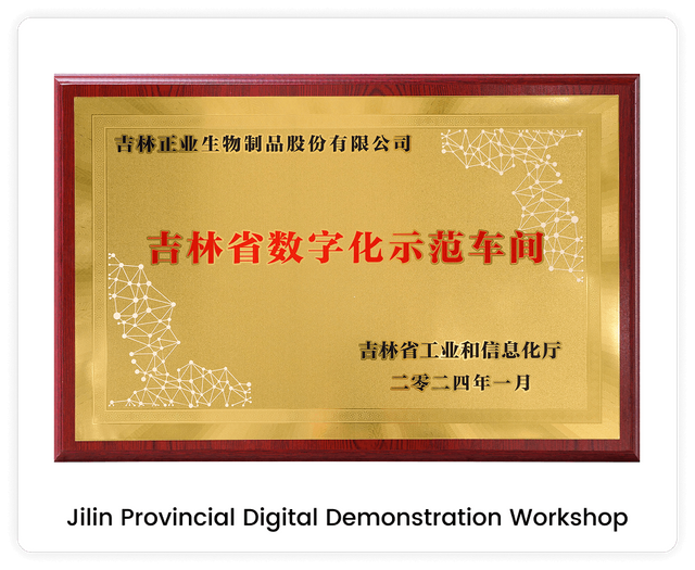 ZYBT digital demonstration workshop award