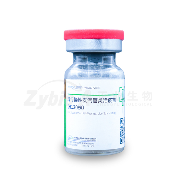 Infectious Bronchitis Vaccine, Live (Strain H120)