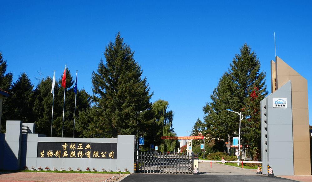  2004