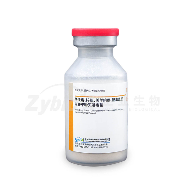 Ovine Braxy, Struck,Lamb Dysentery, Enterotoxaemia Vaccine ,Inactivated (Dried Powder)
