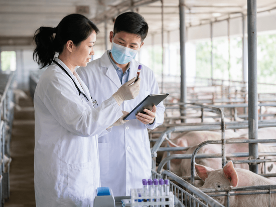 animal vaccines technical research inspection