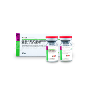 Combined Newcastle Disease and Infectious Bronchitis Thermo-stable Vaccine, Live (Strain La Sota+Strain SZ160)