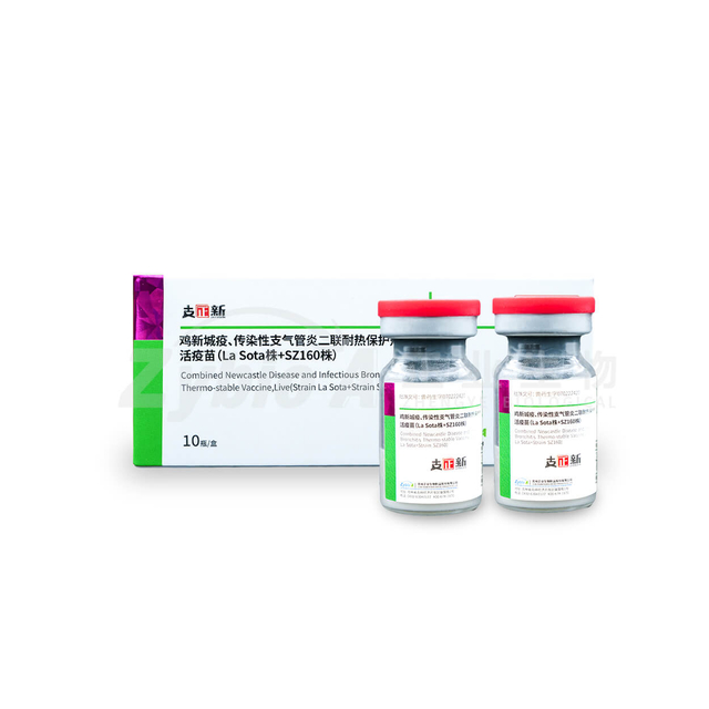 Combined Newcastle Disease and Infectious Bronchitis Thermo-stable Vaccine, Live (Strain La Sota+Strain SZ160)